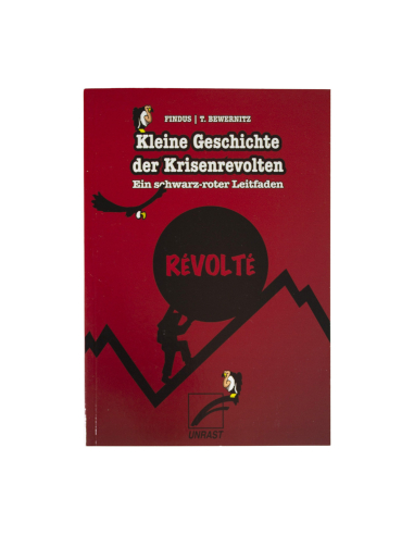 Kleine Geschichte der Krisenrevolten