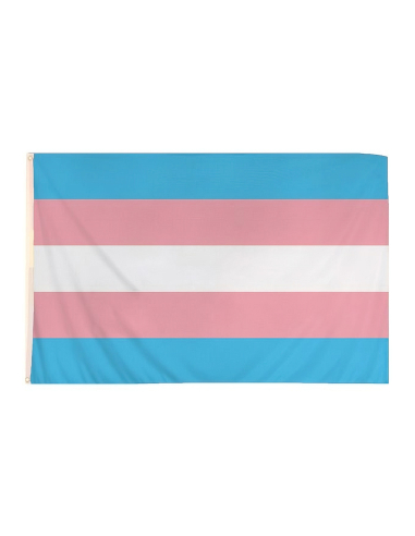 Trans* Pride - Fahne