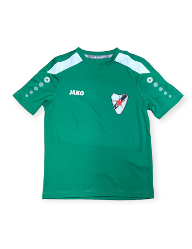 Roter Stern Leipzig - Trikot Kids - Green