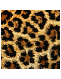 Animal Print - Logo